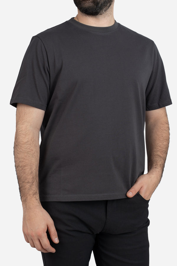 Core T-Shirt Regular Fit Iron