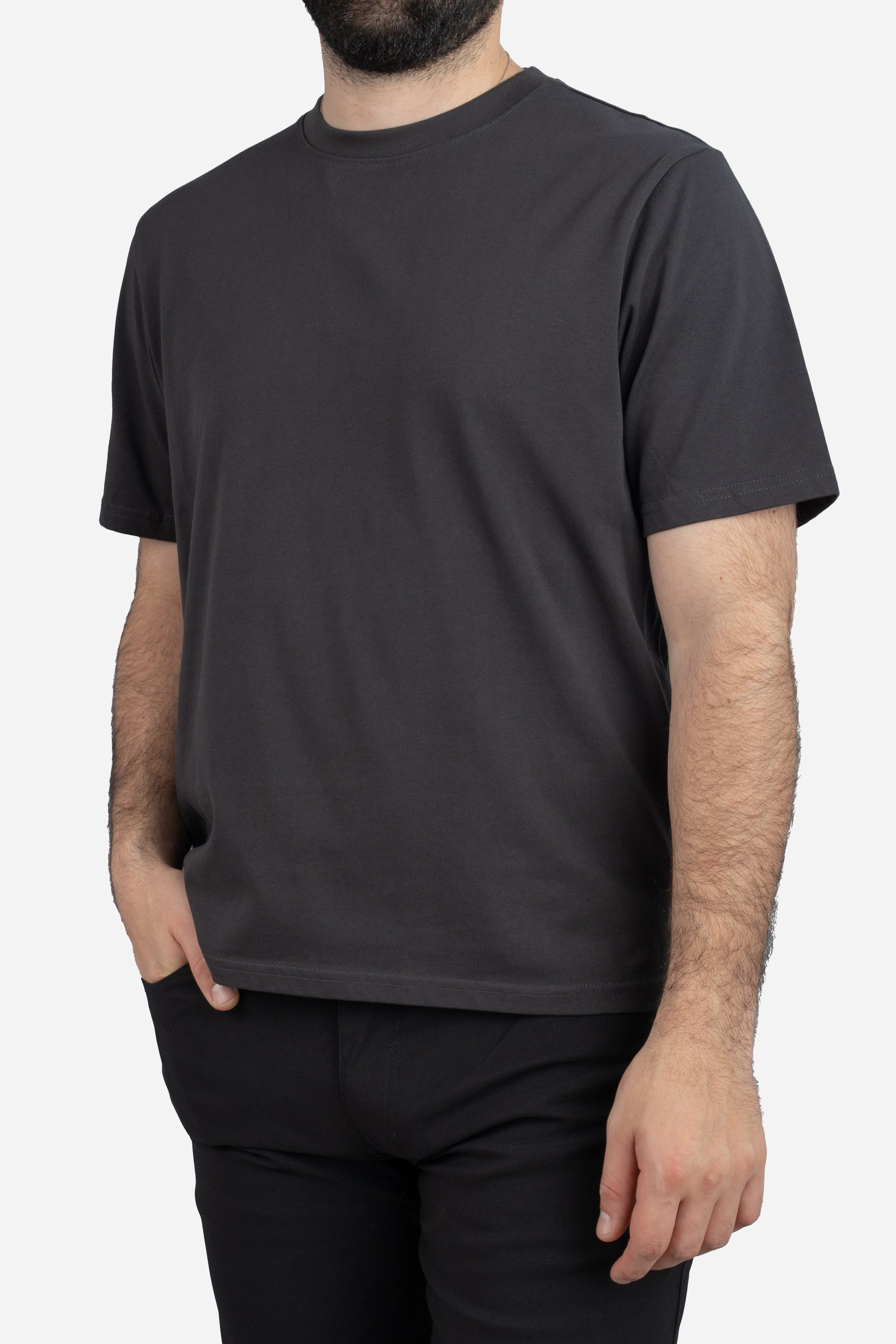 Core T-Shirt Regular Fit Iron